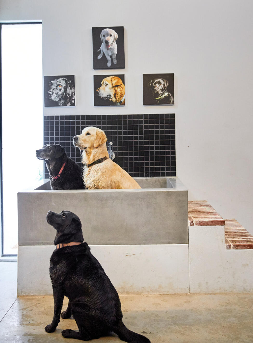 House Le Poirier - Doggy Shower